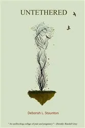 Book cover of Untethered by Laura Whitfield