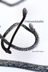 Book cover of Untranslatable by Julia Klatt Singer