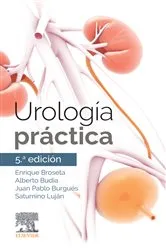Book cover of Urología práctica (5th ed.) by Enrique Broseta Rico