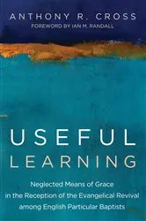 Book cover of Useful Learning by Anthony R. Cross