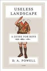Book cover of Useless Landscape, or A Guide for Boys by D. A. Powell