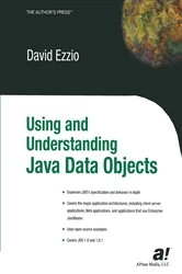 Book cover of Using and Understanding Java Data Objects by David Ezzio
