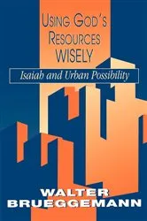 Book cover of Using God's Resources Wisely by Walter Brueggemann
