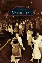 Book cover of Valdosta by Michael O. Holt