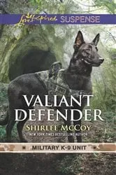 Book cover of Valiant Defender by Unknown