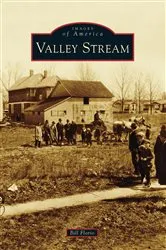 Book cover of Valley Stream by Bill Florio