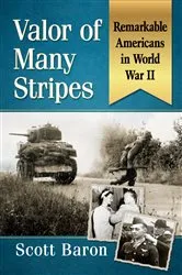 Book cover of Valor of Many Stripes by Scott Baron
