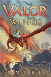 Book cover of Valor Wings by Sam Subity