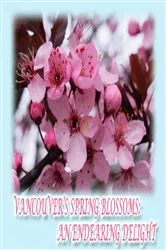 Book cover of Vancouver's Spring Blossoms by Rowena Kong
