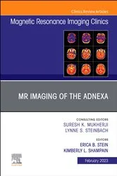 Book cover of Vascular Anesthesia, An Issue of Anesthesiology Clinics, E-Book by Megan P. Kostibas MD