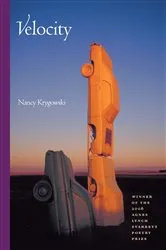 Book cover of Velocity by Dean Koontz
