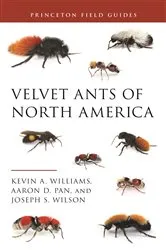 Book cover of Velvet Ants of North America by Kevin Williams