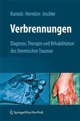 Book cover of Verbrennungen by Lars-Peter Kamolz