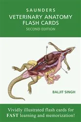 Book cover of Veterinary Anatomy Flash Cards (2nd ed.) by Singh BVSc, MVSc, PhD, Baljit