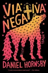 Book cover of Via Negativa by Unknown