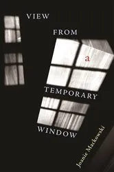 Book cover of View from a Temporary Window by Joanie Mackowski