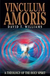 Book cover of Vinculum Amoris by David T. Williams