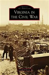 Book cover of Virginia in the Civil War by Joseph D'Arezzo