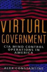 Book cover of Virtual Government by Unknown