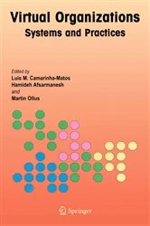 Book cover of Virtual Organizations by Luis M. Camarinha-Matos