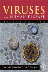 Book cover of Viruses and Human Disease (2nd ed.) by Ellen G. Strauss