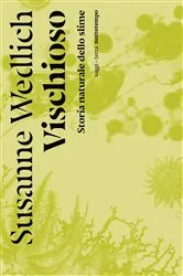 Book cover of Vischioso by Unknown