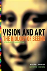 Book cover of Vision and Art (Updated and Expanded Edition) by Margaret S. Livingstone