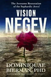 Book cover of Vision Negev by Dominiquae Bierman