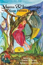 Book cover of Visions and Imaginings by Robert H. Boyer