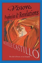 Book cover of Visions Prophecies & Revelations by Michelle Castillo