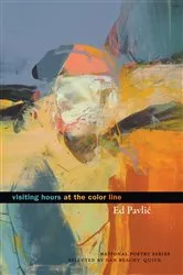 Book cover of Visiting Hours at the Color Line by Ed Pavlic