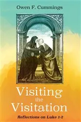 Book cover of Visiting the Visitation by Owen F. Cummings
