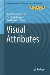 Book cover of Visual Attributes by Rogerio Schmidt Feris