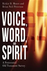 Book cover of Voice, Word, and Spirit by Brian Neil Peterson