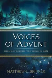 Book cover of Voices of Advent by Matthew L. Skinner