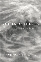 Book cover of Voices of the Sea by Patricia Feinman
