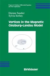 Book cover of Vortices in the Magnetic Ginzburg-Landau Model by Unknown