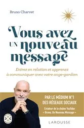 Book cover of Vous avez un nouveau message by Bruno Charvet