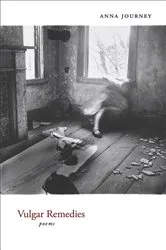 Book cover of Vulgar Remedies by Anna Journey