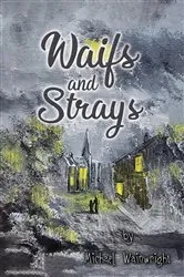 Book cover of Waifs and Strays by Michael Wainwright