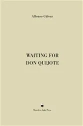 Book cover of Waiting for Don Quijote by Alfonso Gálvez