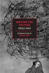 Book cover of Waiting for the Fear by Oguz Atay