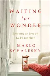 Book cover of Waiting for Wonder by Marlo Schalesky