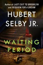 Book cover of Waiting Period by Hubert Selby