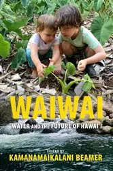 Book cover of Waiwai by Kamanamaikalani Beamer