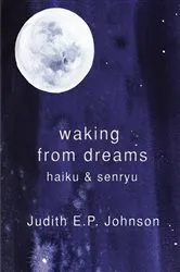 Book cover of Waking from Dreams by Judith E.P. Johnson