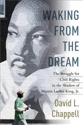 Book cover of Waking from the Dream by David L. Chappell