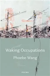 Book cover of Waking Occupations by Phoebe Wang