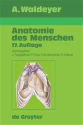 Book cover of Waldeyer - Anatomie des Menschen (17th ed.) by Anton Johannes Waldeyer