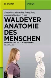 Book cover of Waldeyer - Anatomie des Menschen (19th ed.) by Anton Waldeyer